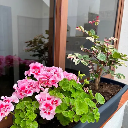 Casa Vistabuena, Golf, Jacuzzi, And Views * Буэнависта-дель-Норте