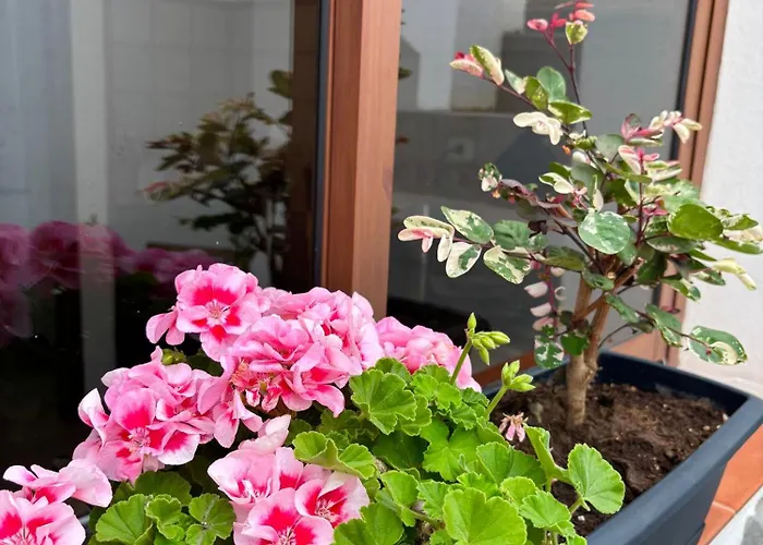 Casa Vistabuena, Golf, Jacuzzi, And Views * 布埃纳维斯塔城北